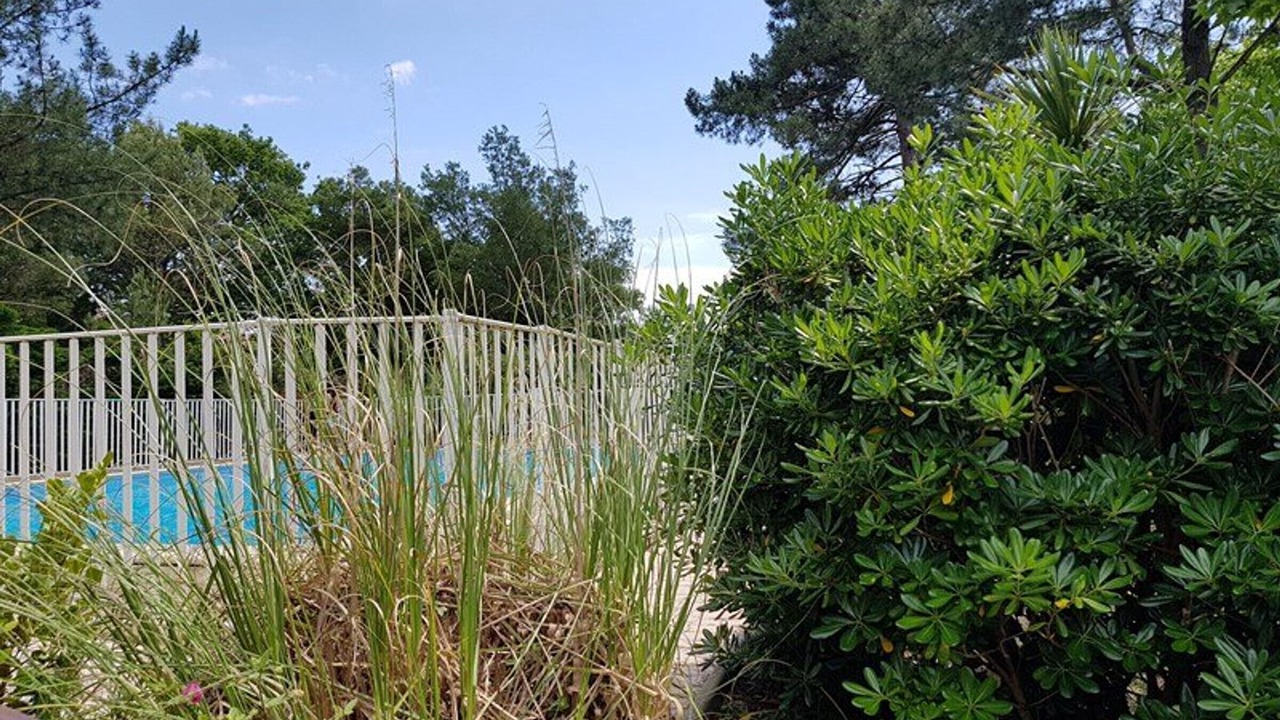Photo of Outdoor in Capbreton