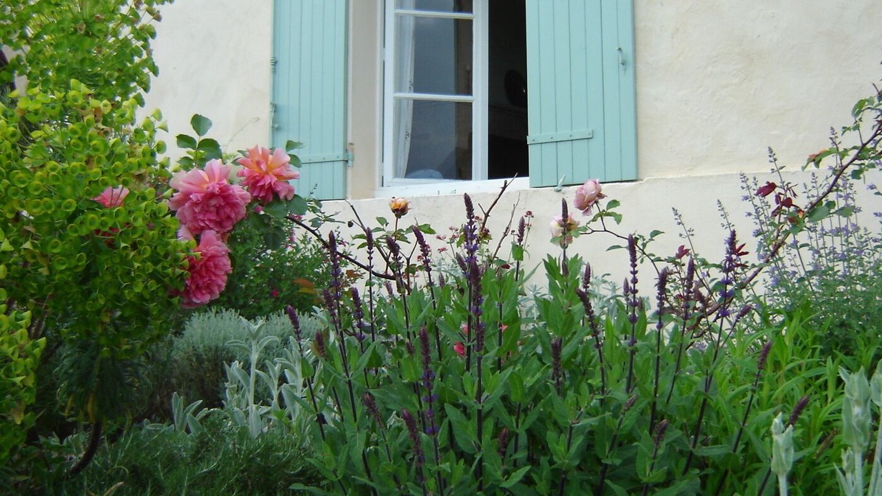 Photo of Outdoor in Saint Exupery