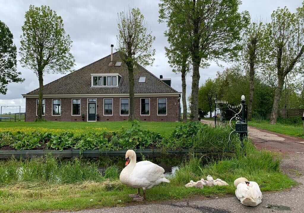 Photo of Outdoor in Monnickendam