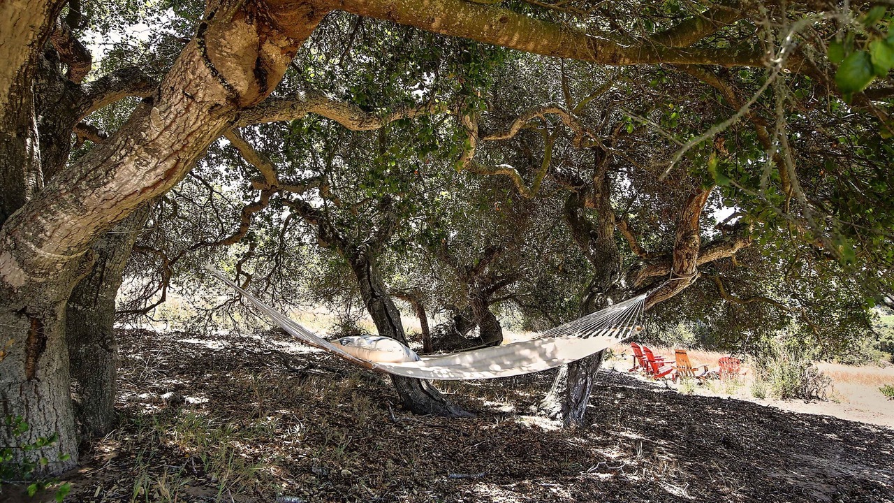 Photo of Others in Lompoc