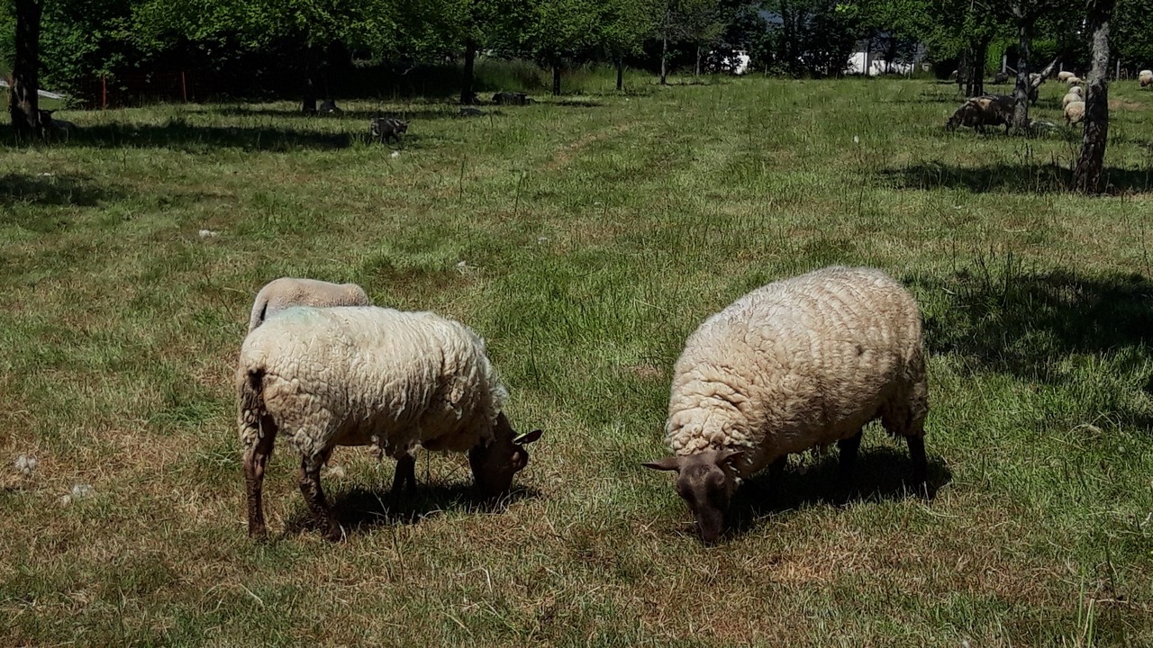 Photo of Outdoor in Colleville-sur-Mer