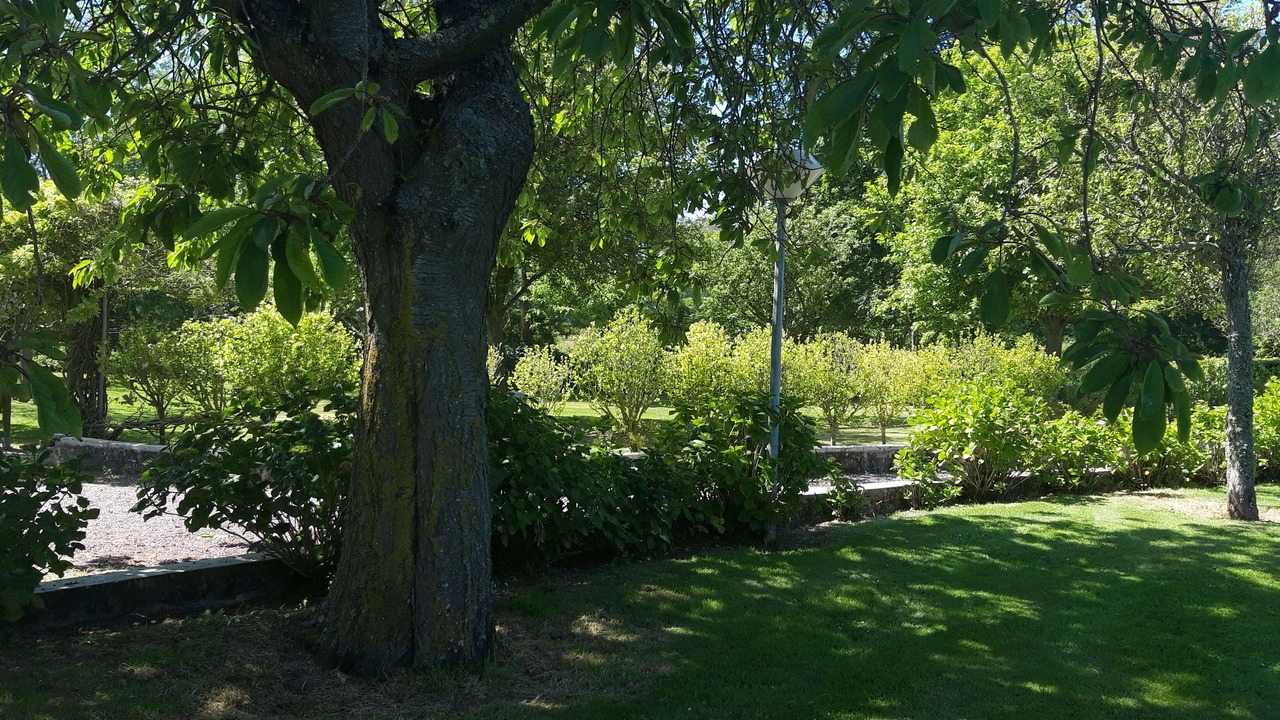 Photo of Outdoor in Colleville-sur-Mer