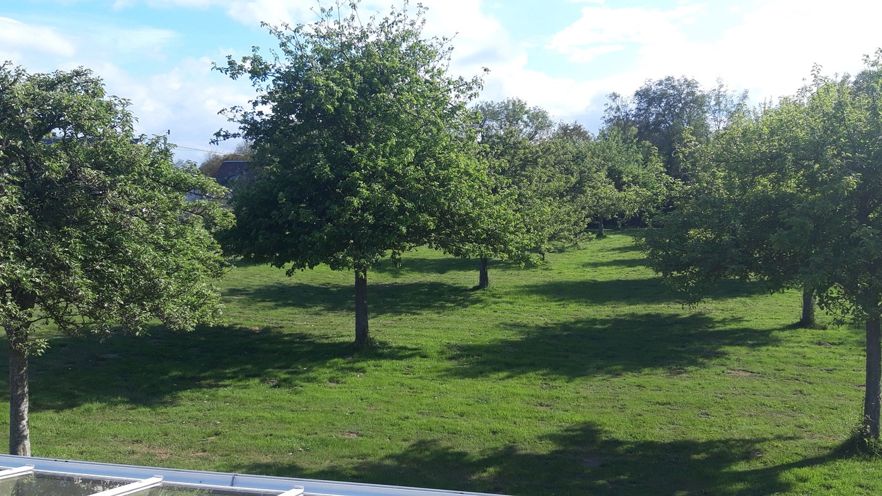 Photo of Outdoor in Colleville-sur-Mer