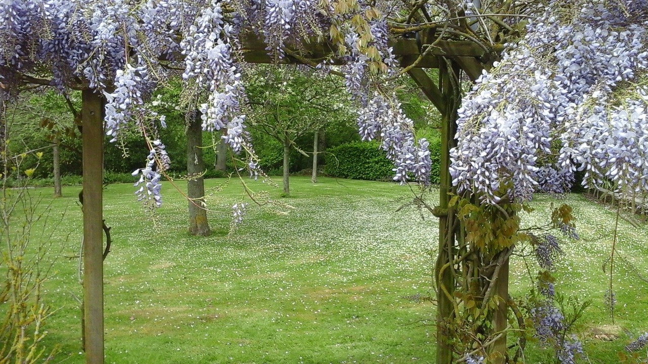 Photo of Outdoor in Colleville-sur-Mer