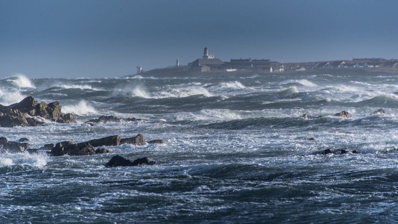 Photo of Others in Sandhaven