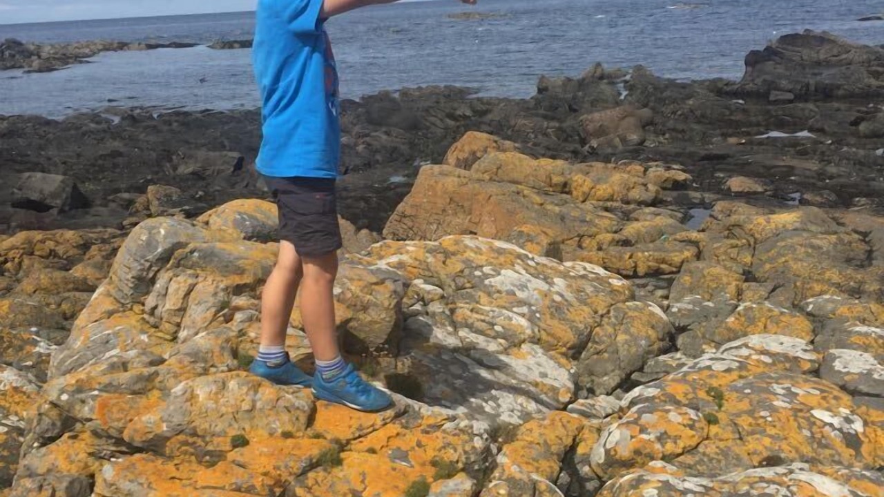 Photo of Others in Sandhaven
