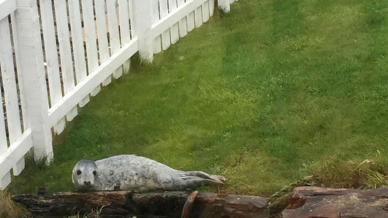 Photo of Outdoor in Sandhaven