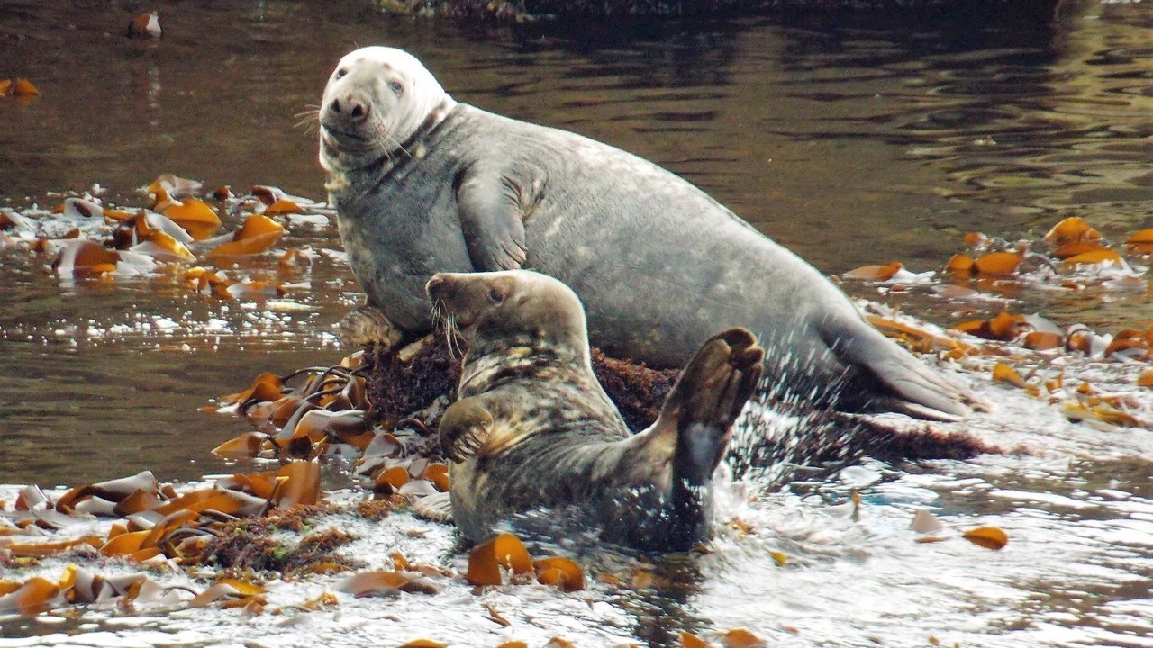 Photo of Others in Sandhaven