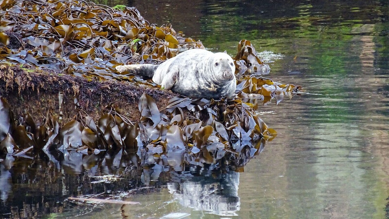 Photo of Outdoor in Sandhaven