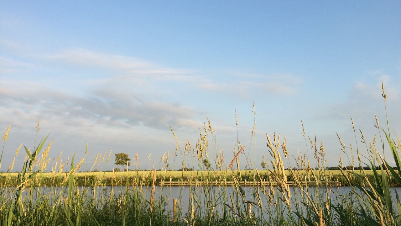 Photo of Outdoor in Warfhuizen