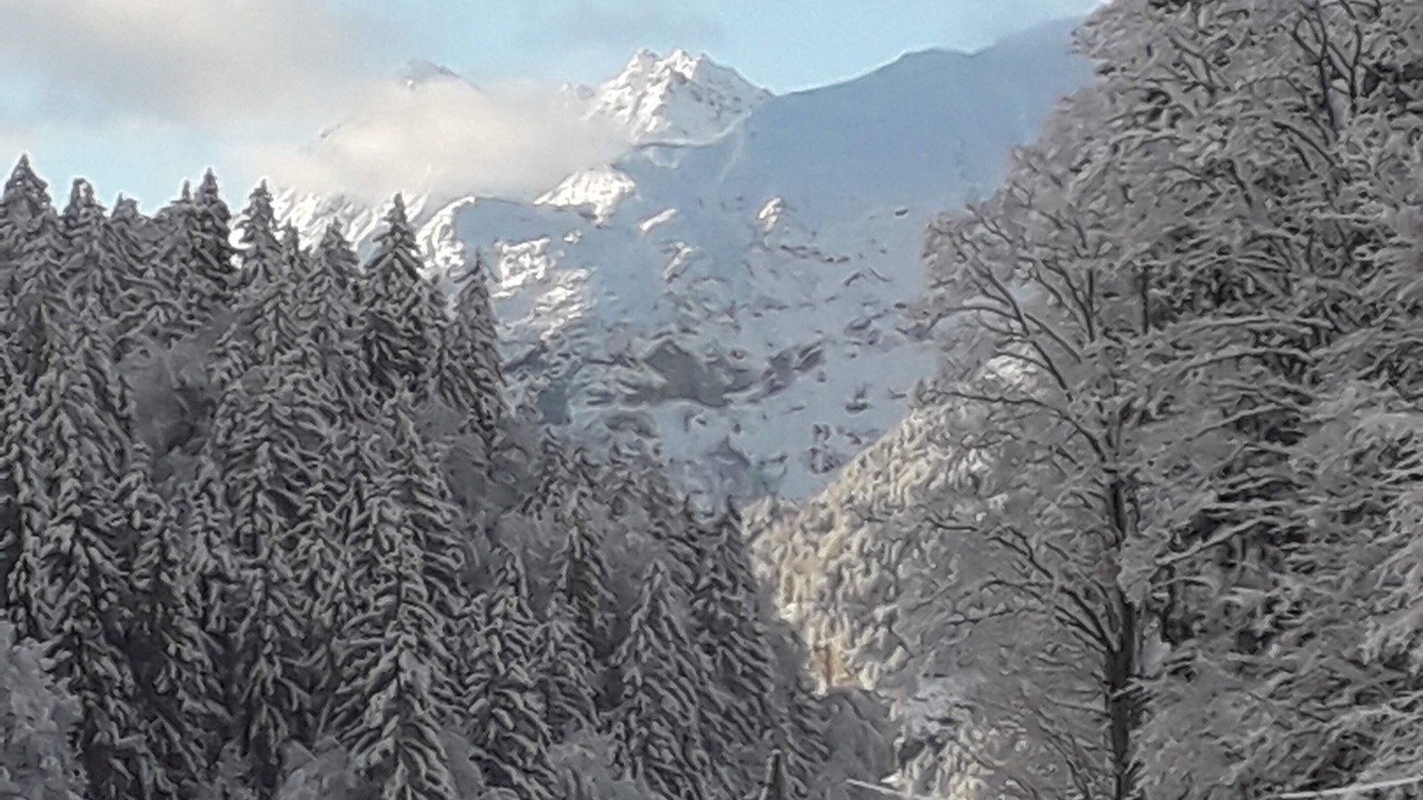 Photo of Others in Reichenbach