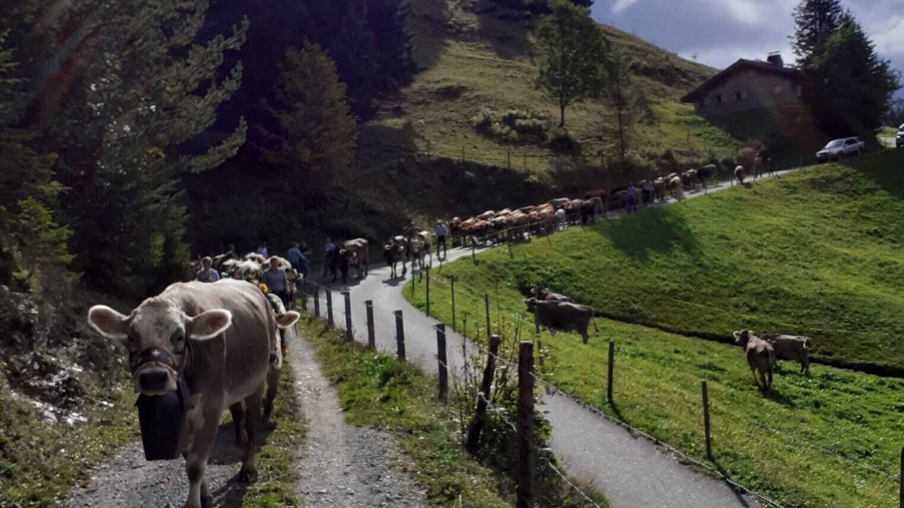 Photo of Outdoor in Reichenbach