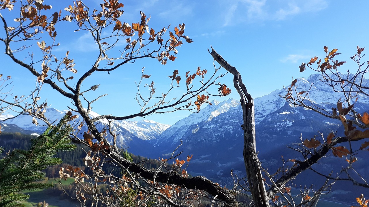 Photo of Outdoor in Reichenbach