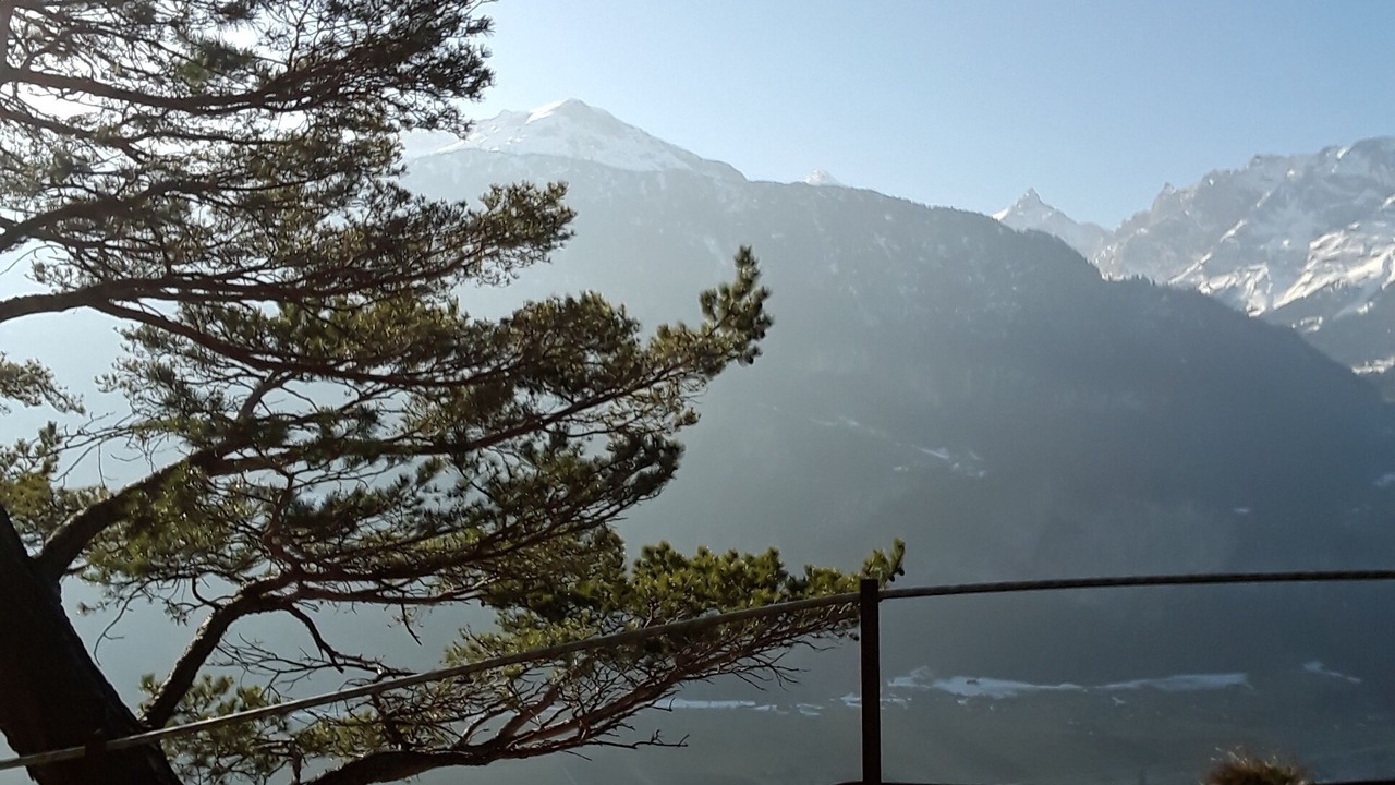 Photo of Others in Reichenbach