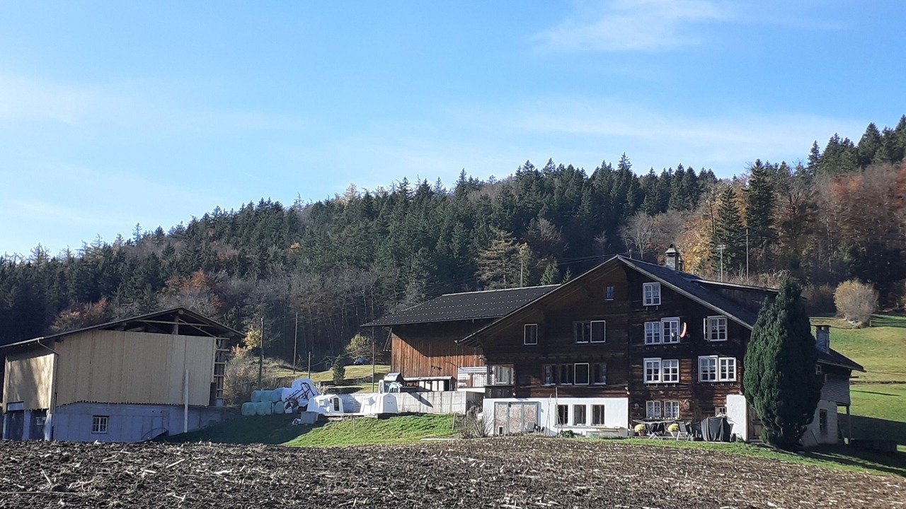 Photo of Outdoor in Reichenbach