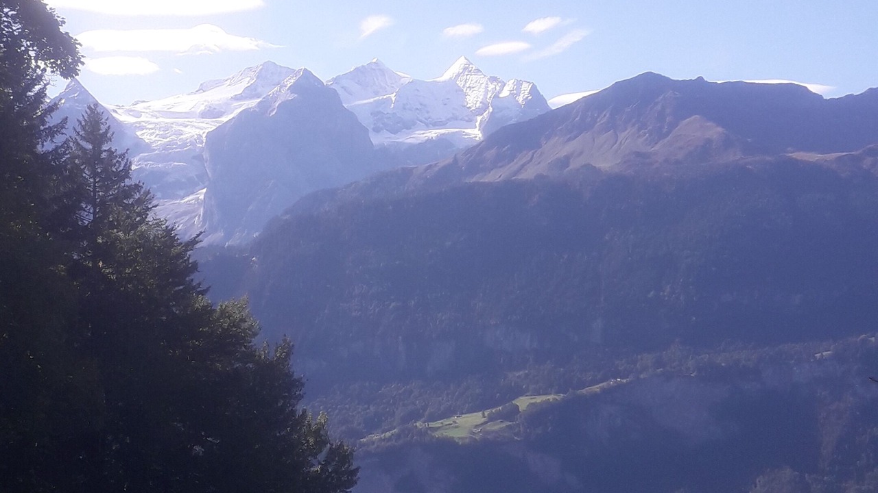 Photo of Others in Reichenbach