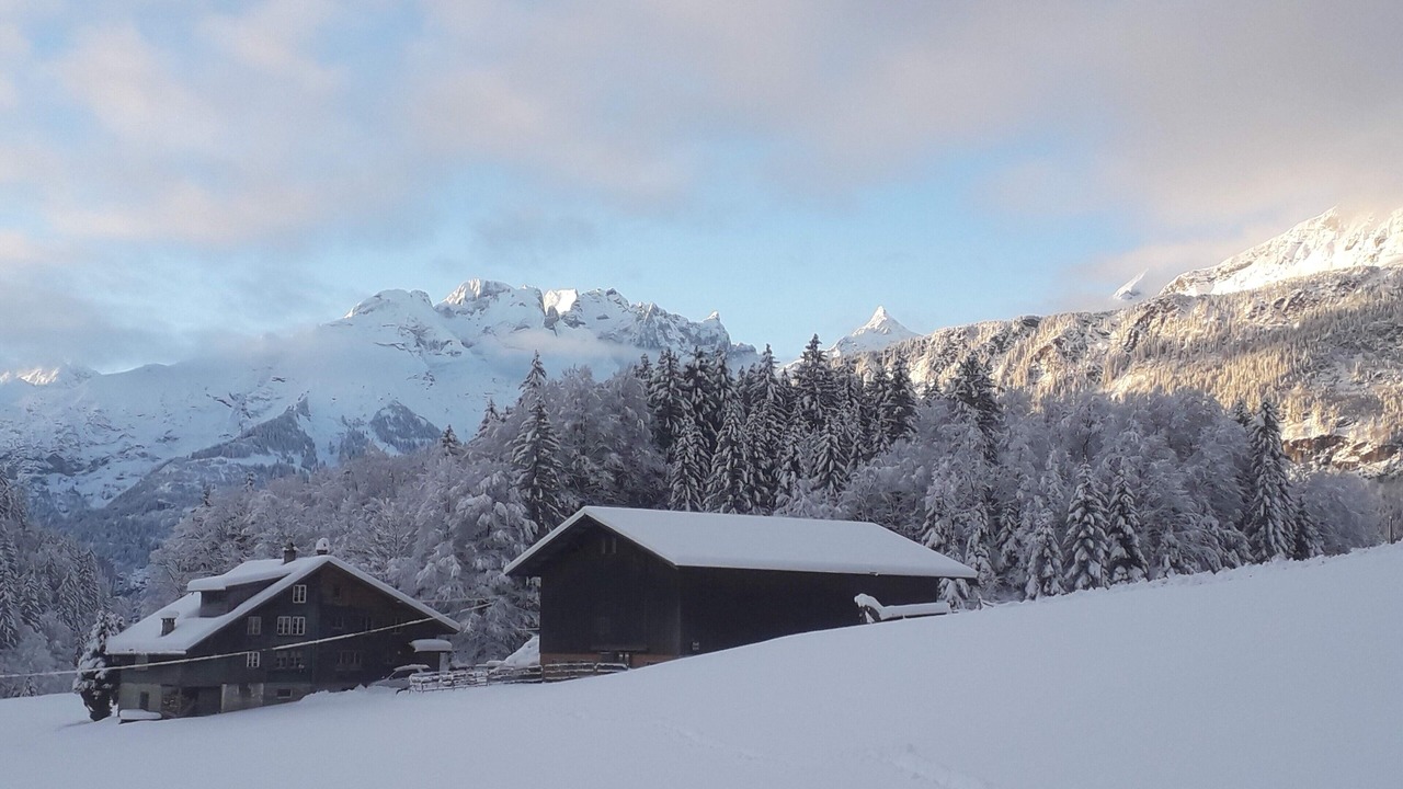 Photo of Outdoor in Reichenbach
