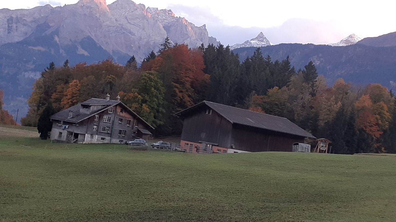 Photo of Outdoor in Reichenbach