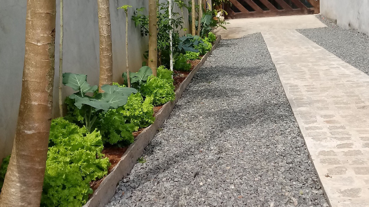 Photo of Outdoor in Guaratuba
