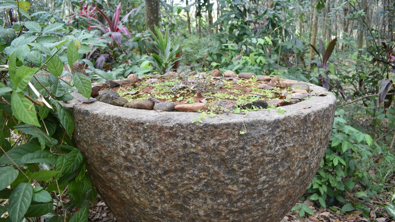 Photo of Outdoor in Takkalai