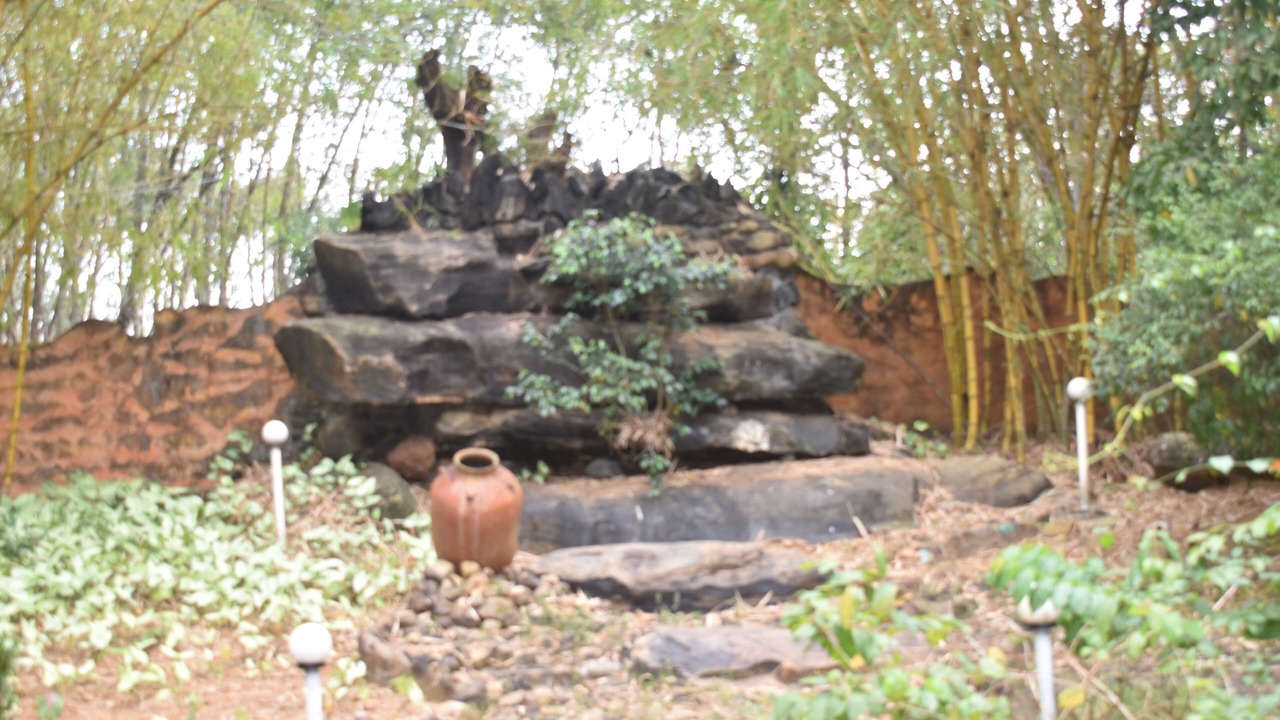 Photo of Outdoor in Takkalai
