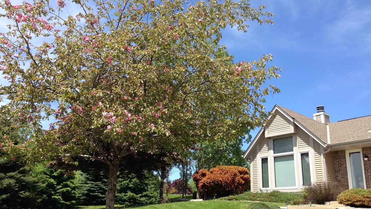 Photo of Outdoor in Merton