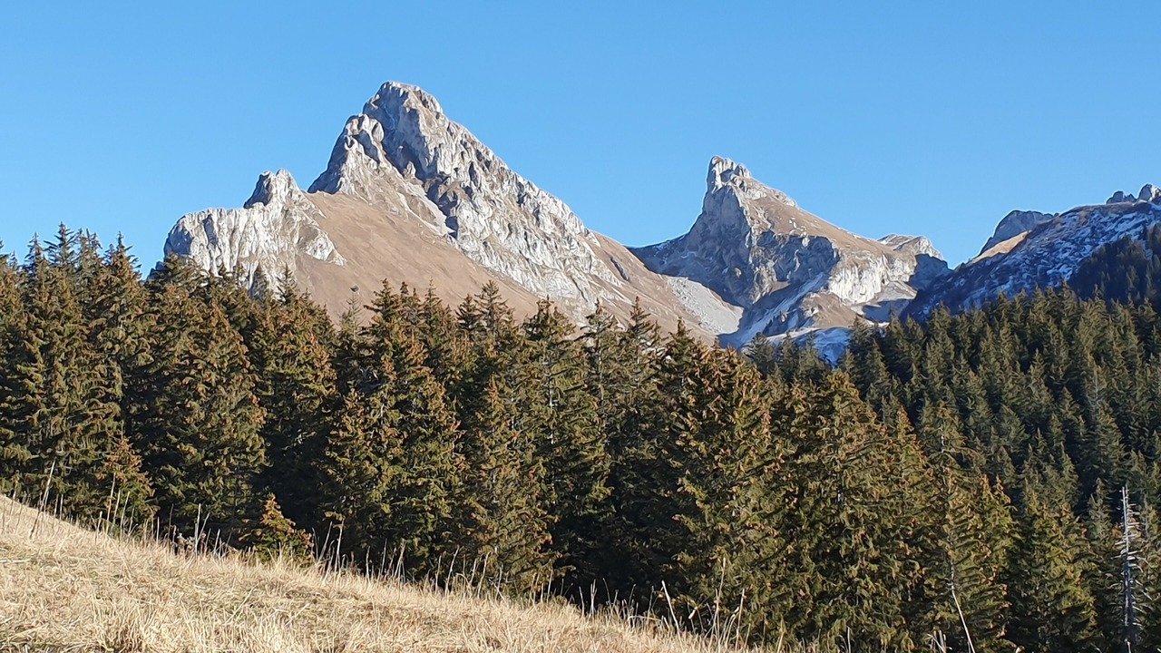 Photo of Outdoor in Vacheresse