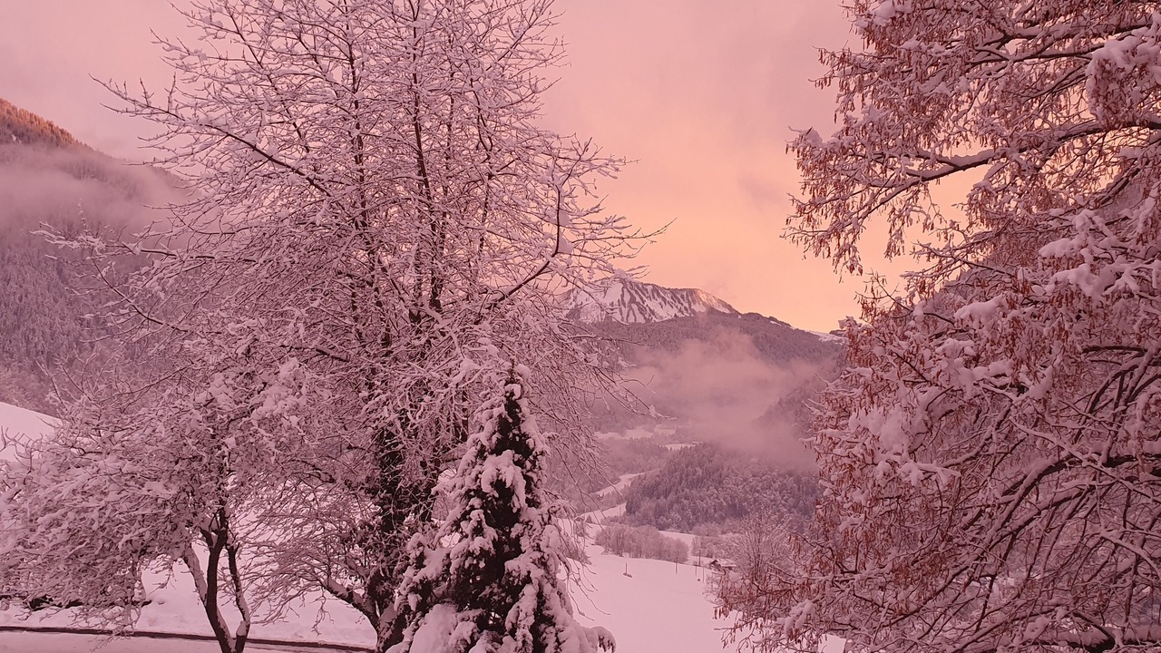 Photo of Outdoor in Vacheresse