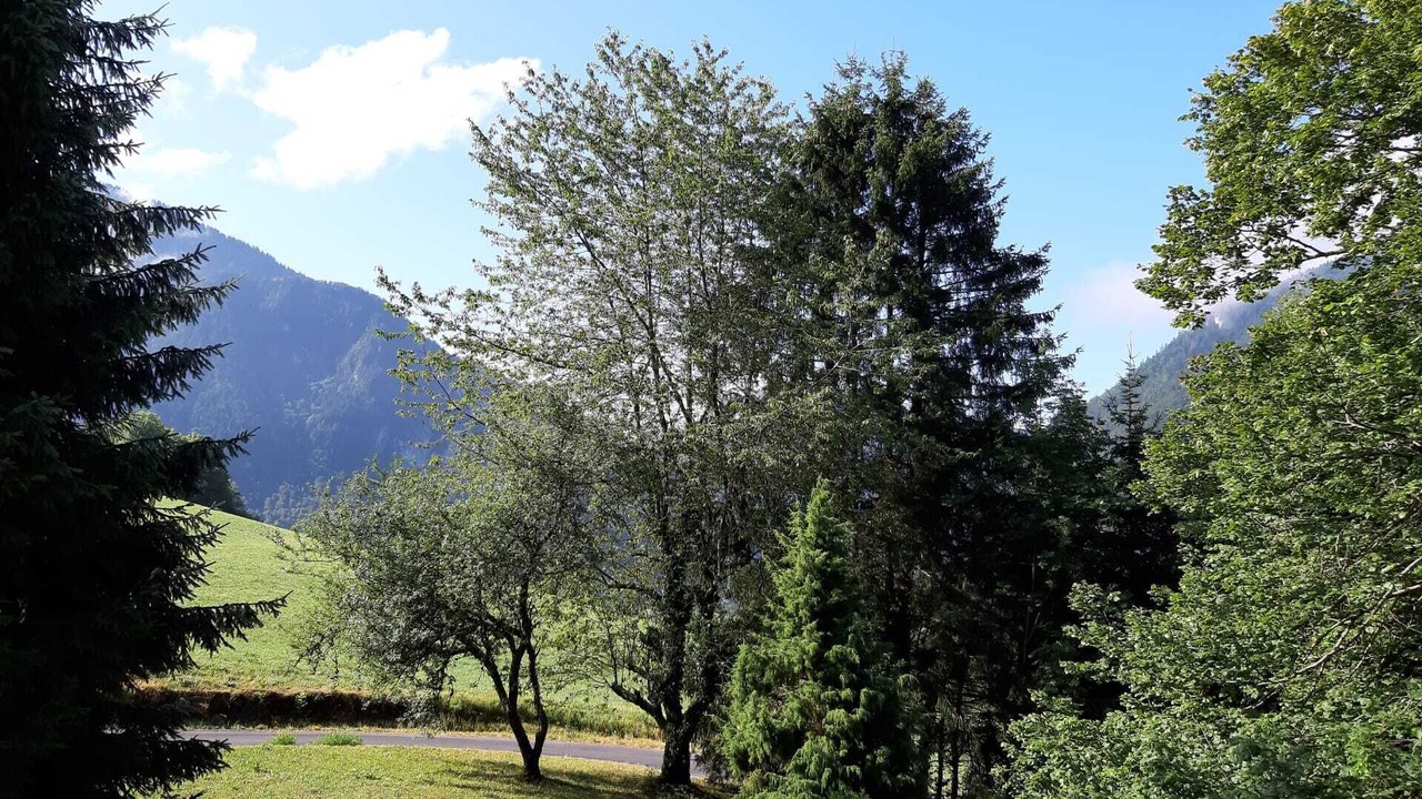 Photo of Outdoor in Vacheresse
