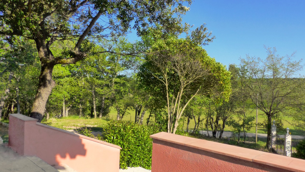 Photo of Outdoor in Saint-Maximin-la-Sainte-Baume