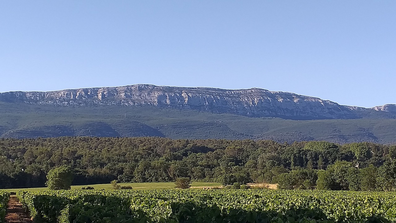 Photo of Others in Saint-Maximin-la-Sainte-Baume