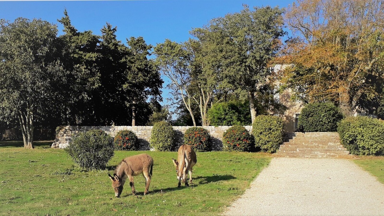 Photo of Outdoor in Saint-Maximin-la-Sainte-Baume
