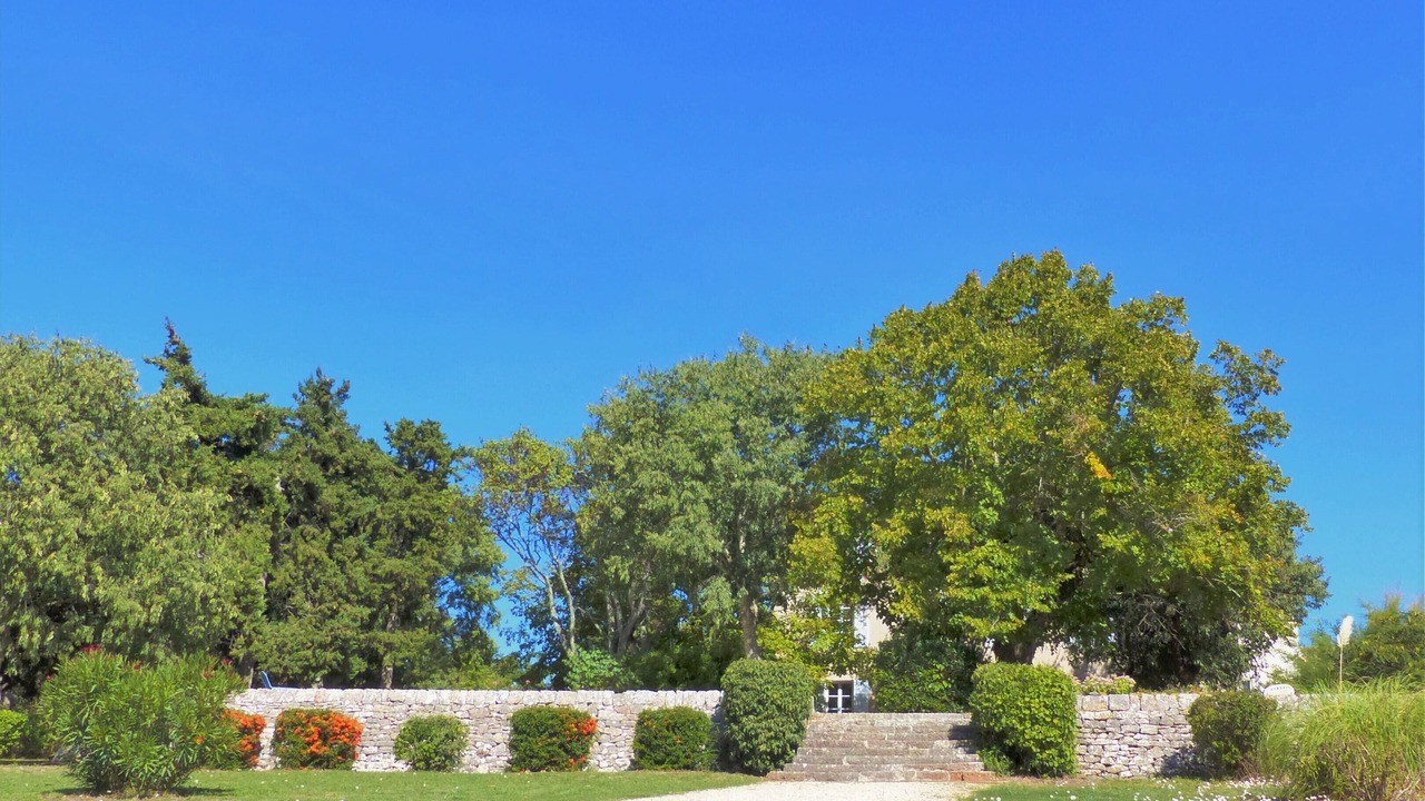 Photo of Outdoor in Saint-Maximin-la-Sainte-Baume