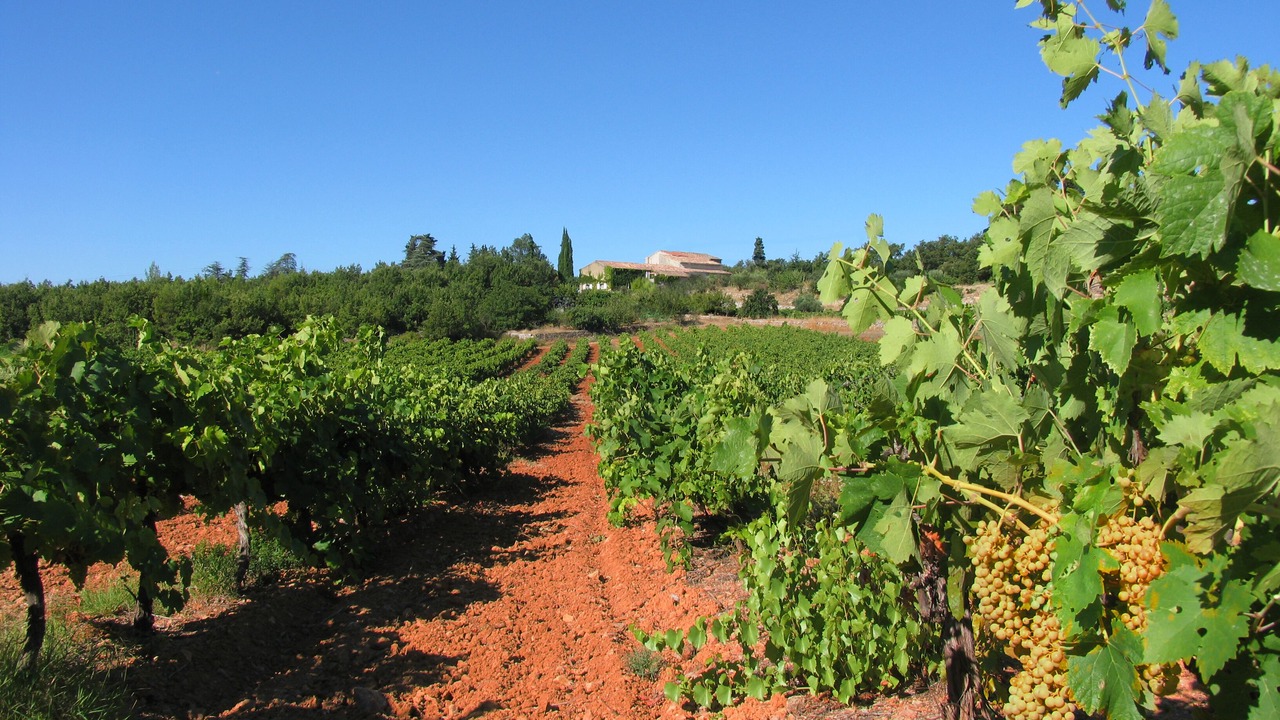 Photo of Outdoor in Saint-Maximin-la-Sainte-Baume