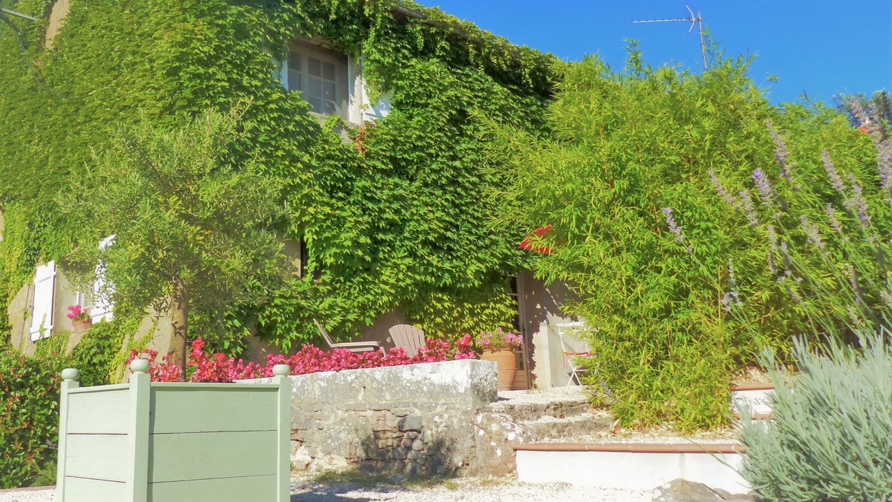 Photo of Outdoor in Saint-Maximin-la-Sainte-Baume