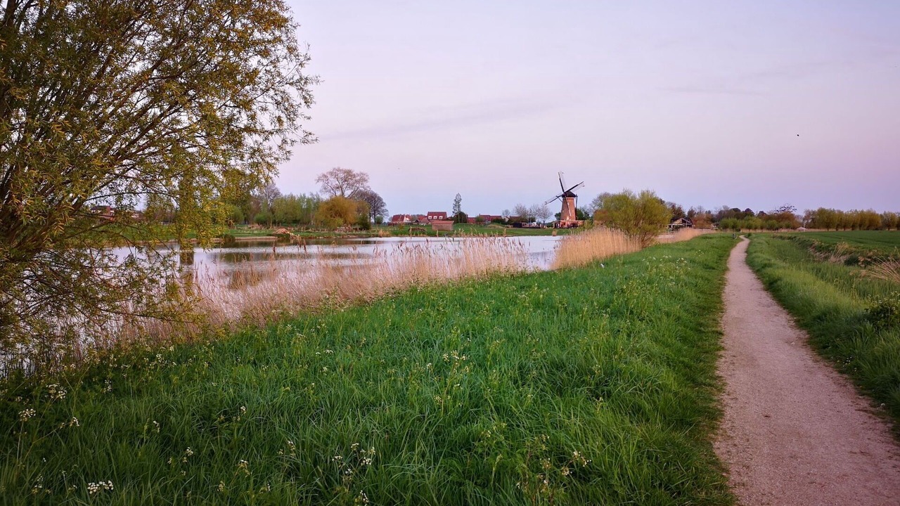 Photo of Others in Schoondijke