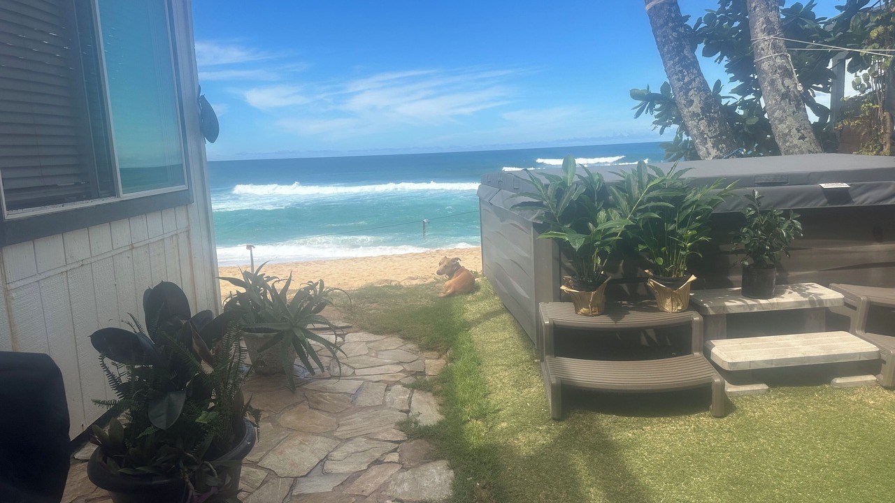 Photo of Outdoor in Pupukea