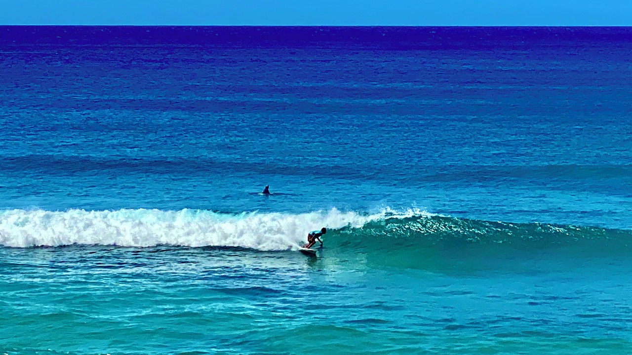 Photo of Others in Pupukea