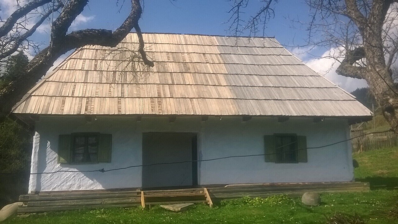 Photo of Outdoor in Faget