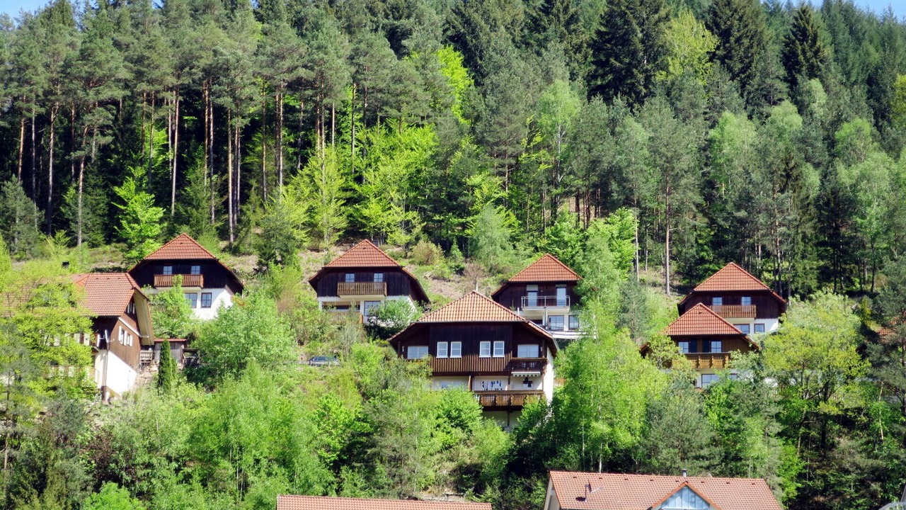 Photo of Others in Hornberg