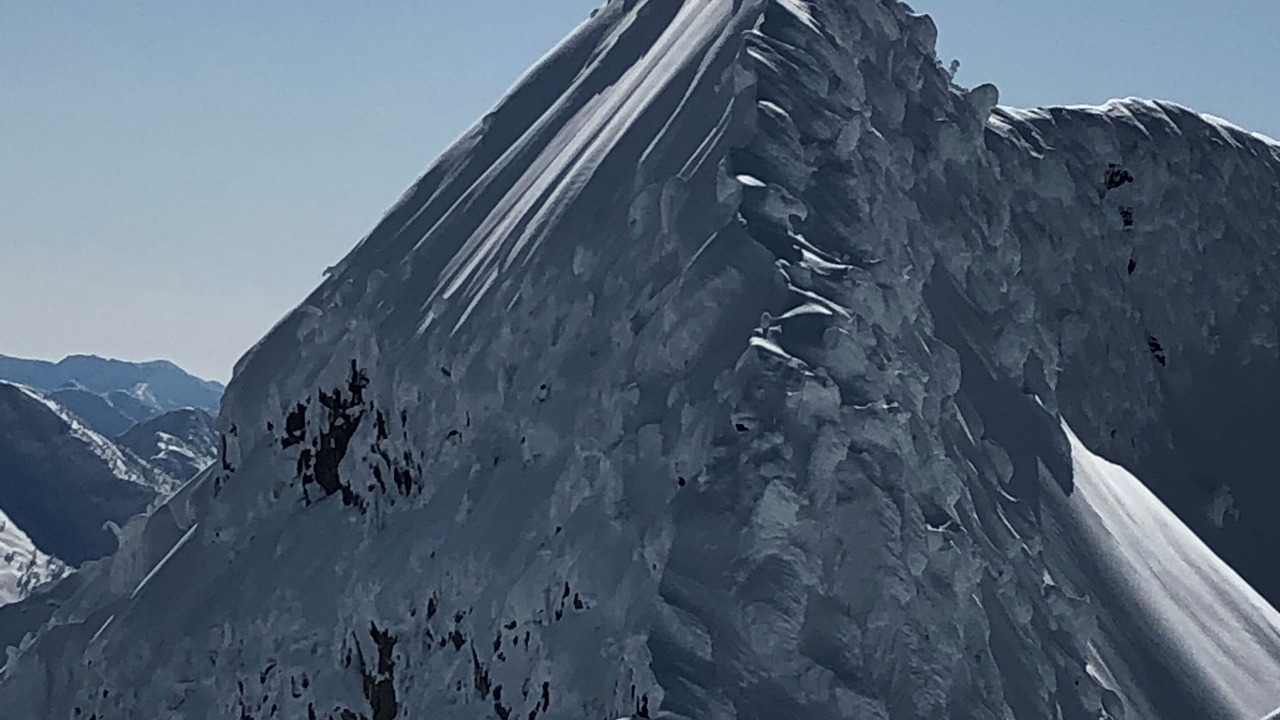Photo of Others in Nelson