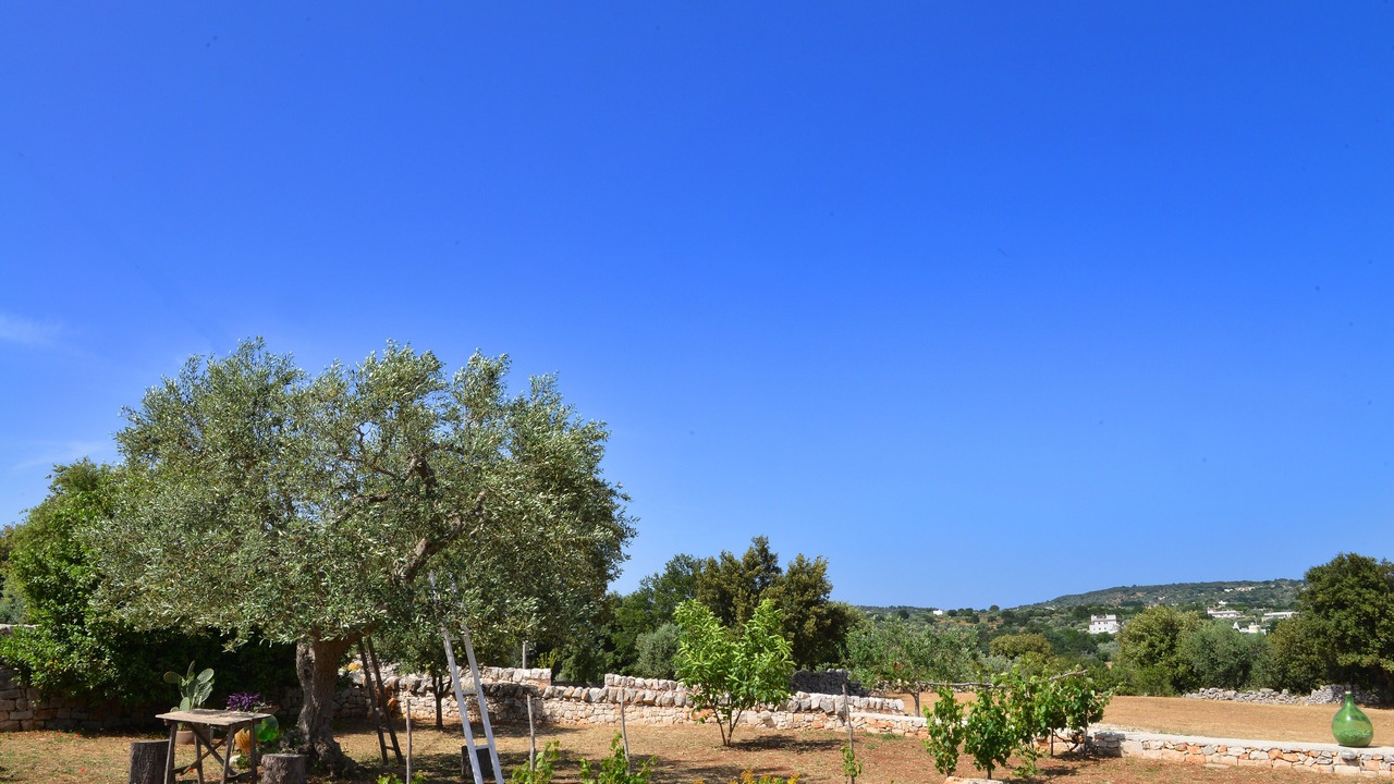 Photo of Outdoor in Cisternino