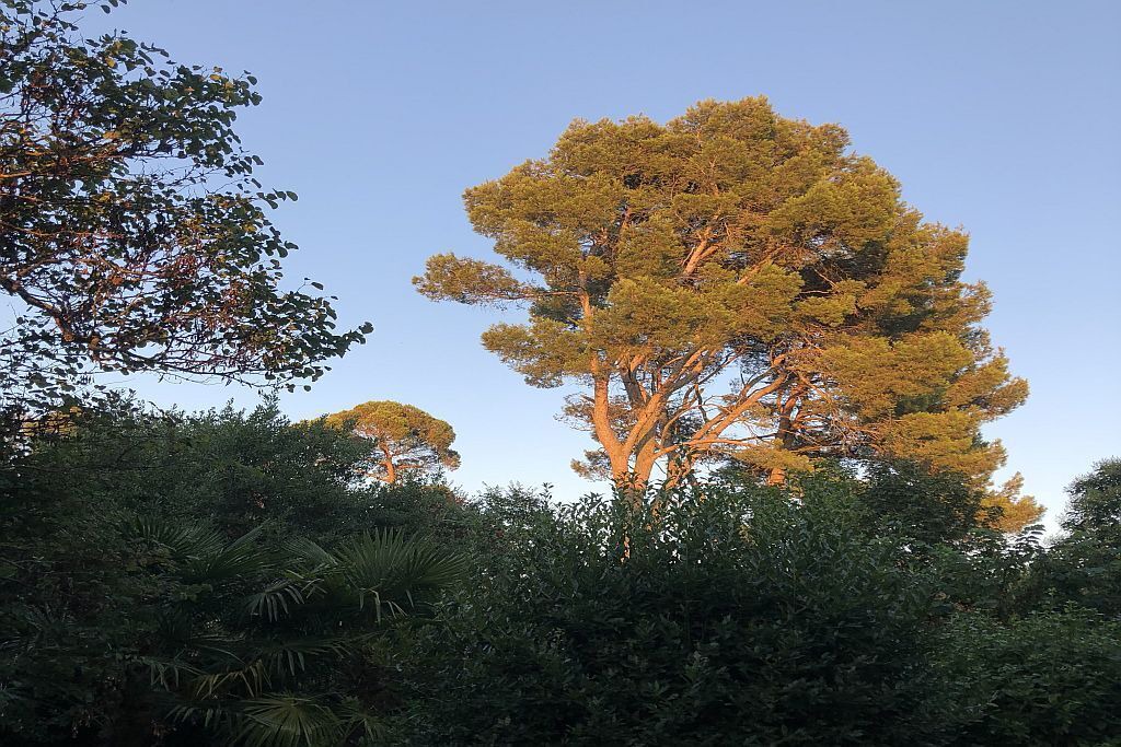 Photo of Outdoor in Villesiscle