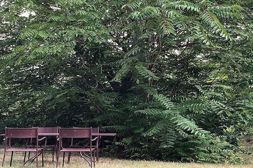 Photo of Outdoor in Villesiscle
