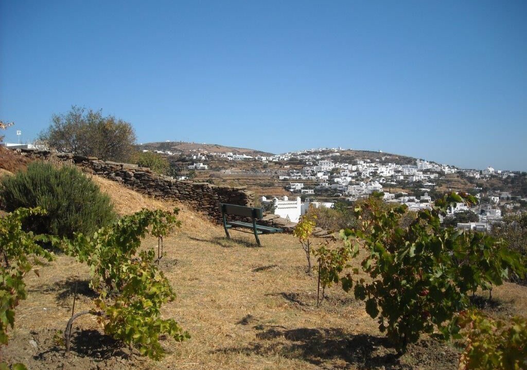 Photo of Outdoor in Sifnos