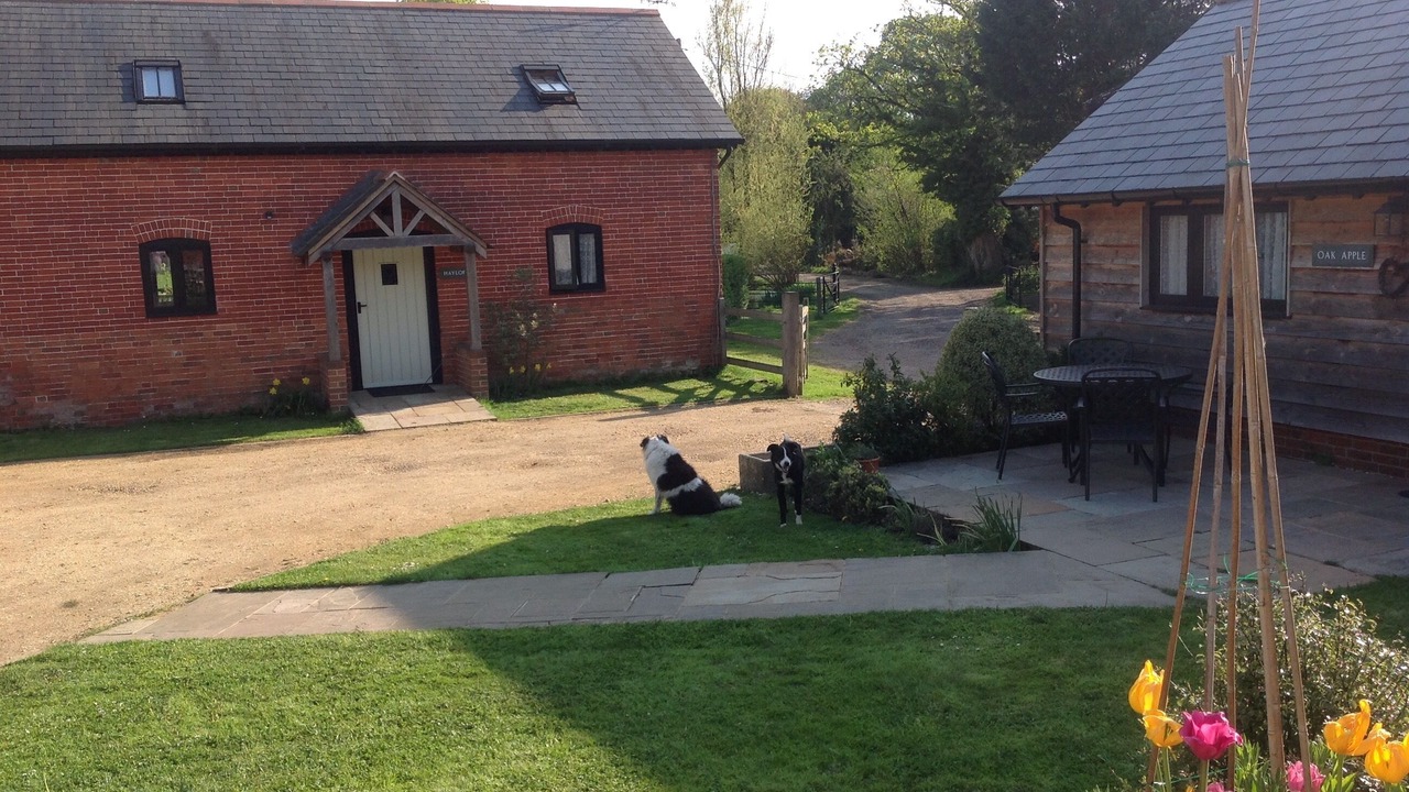 Photo of Outdoor in Plaitford