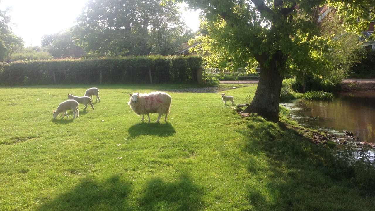 Photo of Outdoor in Plaitford