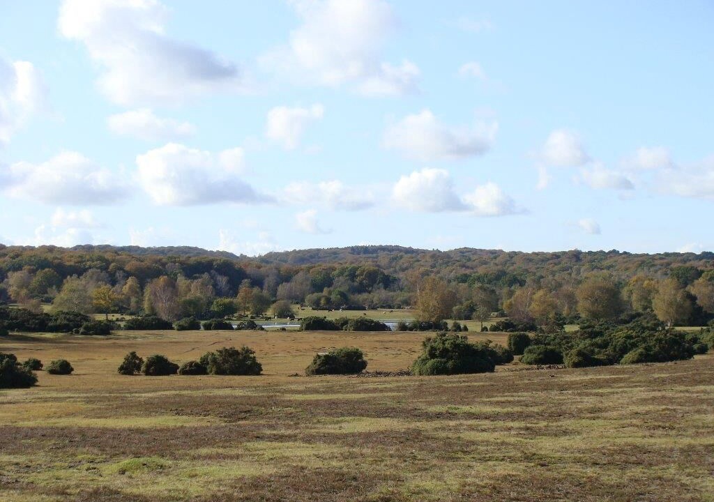 Photo of Others in Plaitford