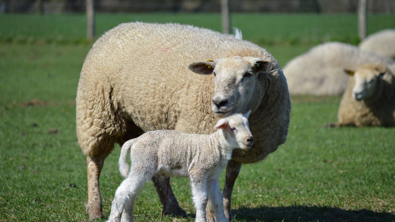 Photo of Others in Plaitford