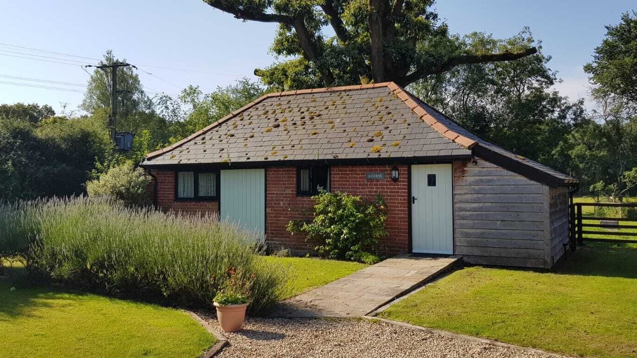 Photo of Outdoor in Plaitford